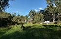 (101) Clover Flat camp site
